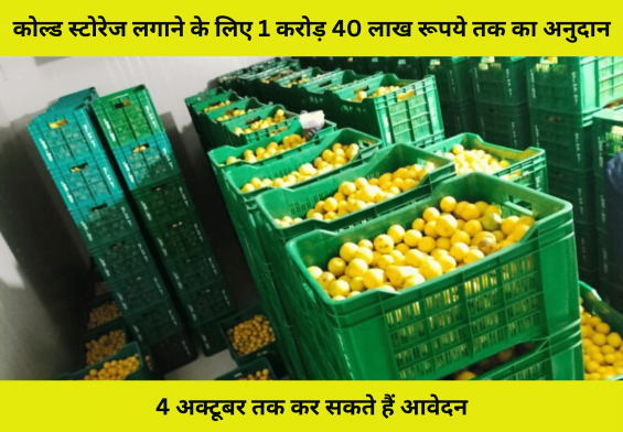 कोल्ड स्टोरेज