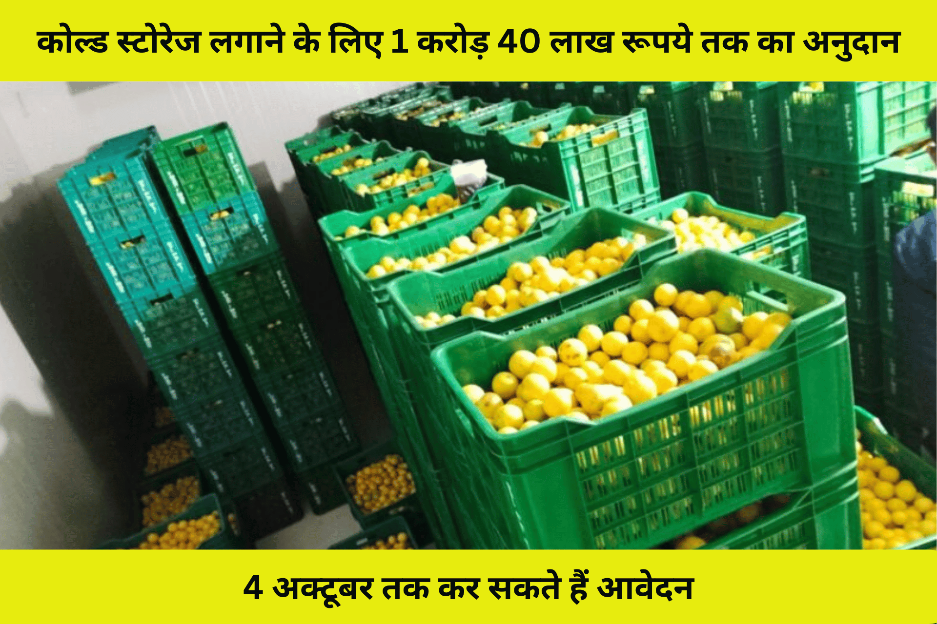 कोल्ड स्टोरेज