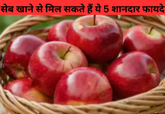 सेब खाने से मिल सकते हैं ये 5 शानदार फायदे, लेकिन क्या हैं इसके नुकसान