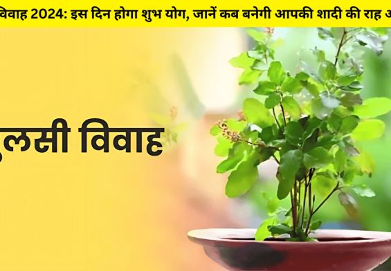 तुलसी विवाह 2024: इस दिन होगा शुभ योग, जानें कब बनेगी आपकी शादी की राह आसान!