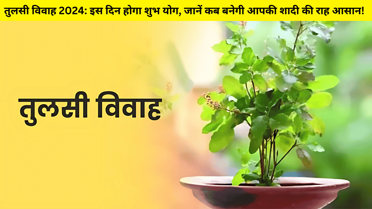 तुलसी विवाह 2024: इस दिन होगा शुभ योग, जानें कब बनेगी आपकी शादी की राह आसान!