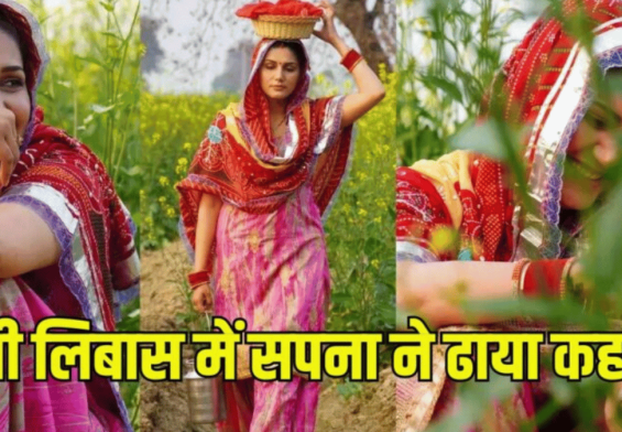 सपना चौधरी ने खेतों में मचाई धूम! जानिए उनकी नई तस्वीरें क्यों बन गईं वायरल