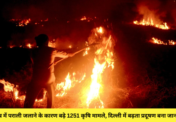 पंजाब में पराली जलाने के कारण बढ़े 1251 कृषि मामले, दिल्ली में बढ़ता प्रदूषण बना जानलेवा!