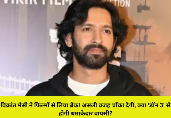 विक्रांत मैसी ने फिल्मों से लिया ब्रेक! असली वजह चौंका देगी, क्या 'डॉन 3' से होगी धमाकेदार वापसी?